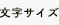 文字サイズ
